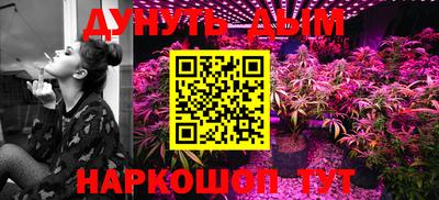 крисы Новодвинск