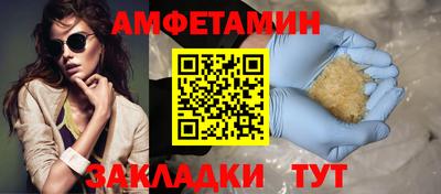 крисы Новодвинск