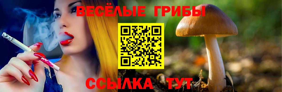 Псилоцибиновые грибы Magic Shrooms  Вход с VPN  Галлюциногенные грибы прущие грибы  Улан-Удэ 